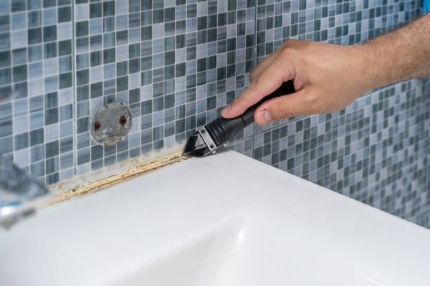 Office Mold Removal Services in Baileys Crossroads, VA