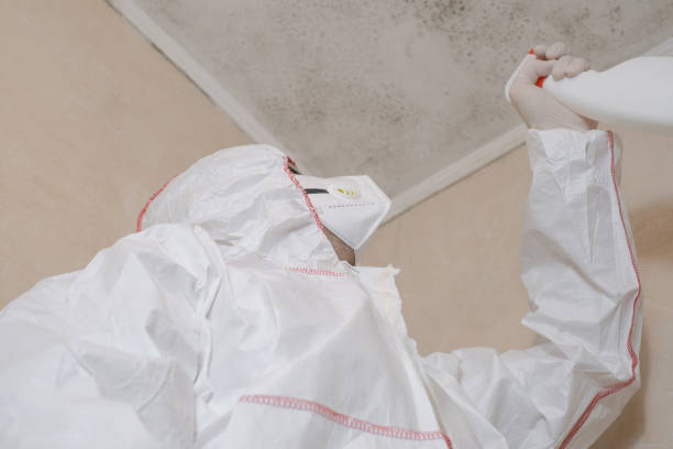 Best Mold Testing  in Baileys Crossroads, VA